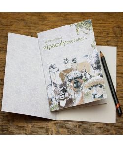 Alpaca Notebook